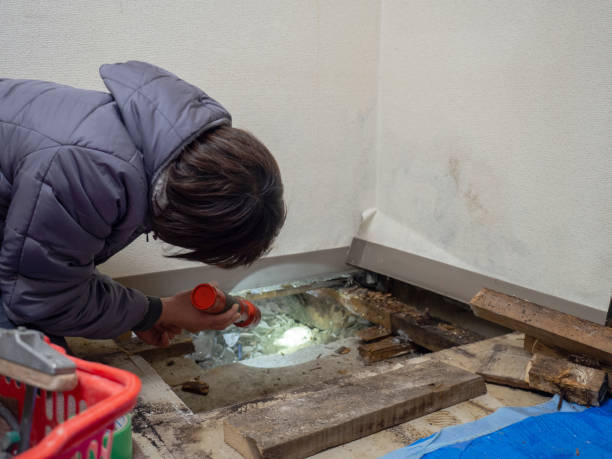 Best Crawl Space Mold Remediation  in Orfordville, WI
