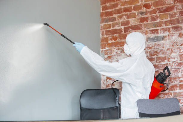 Best Comprehensive Air Testing for Mold Contaminants  in Orfordville, WI