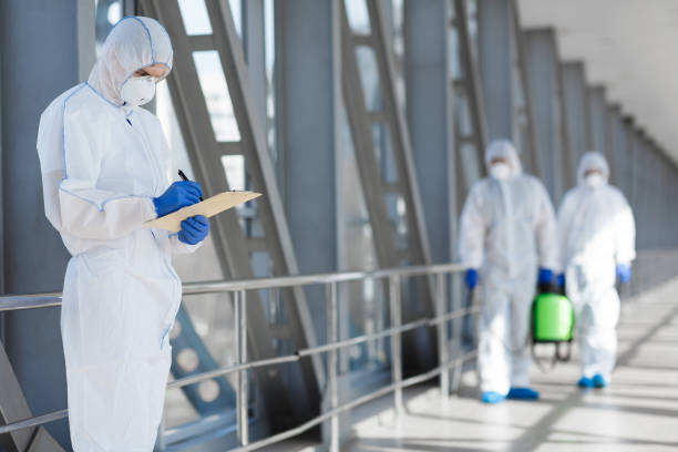 Best Mold Removal for HVAC Installations  in Orfordville, WI