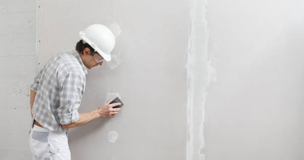Best Industrial Mold Remediation  in Orfordville, WI