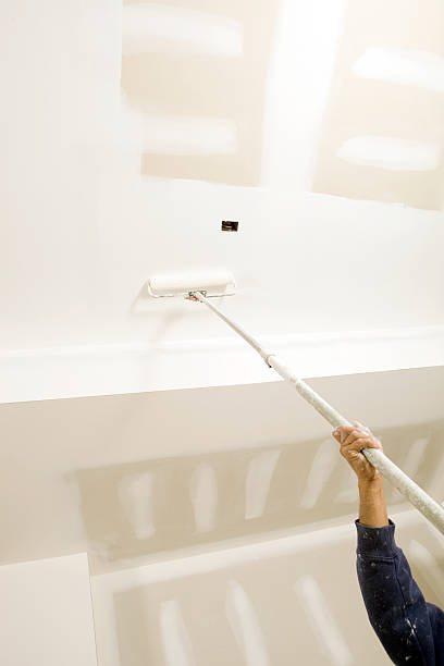 Best Emergency Mold Remediation  in Orfordville, WI