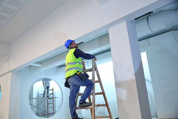 Best Attic Mold Removal  in Orfordville, WI